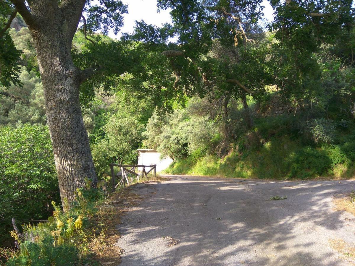 Aerinos House Villa Luaran gambar